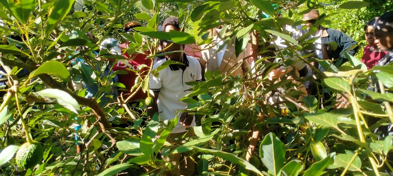 Farmer Trainings
