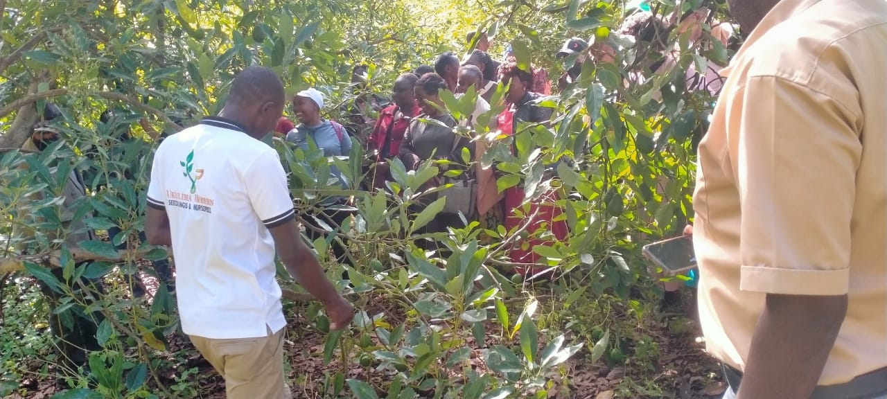 Farmer Trainings
