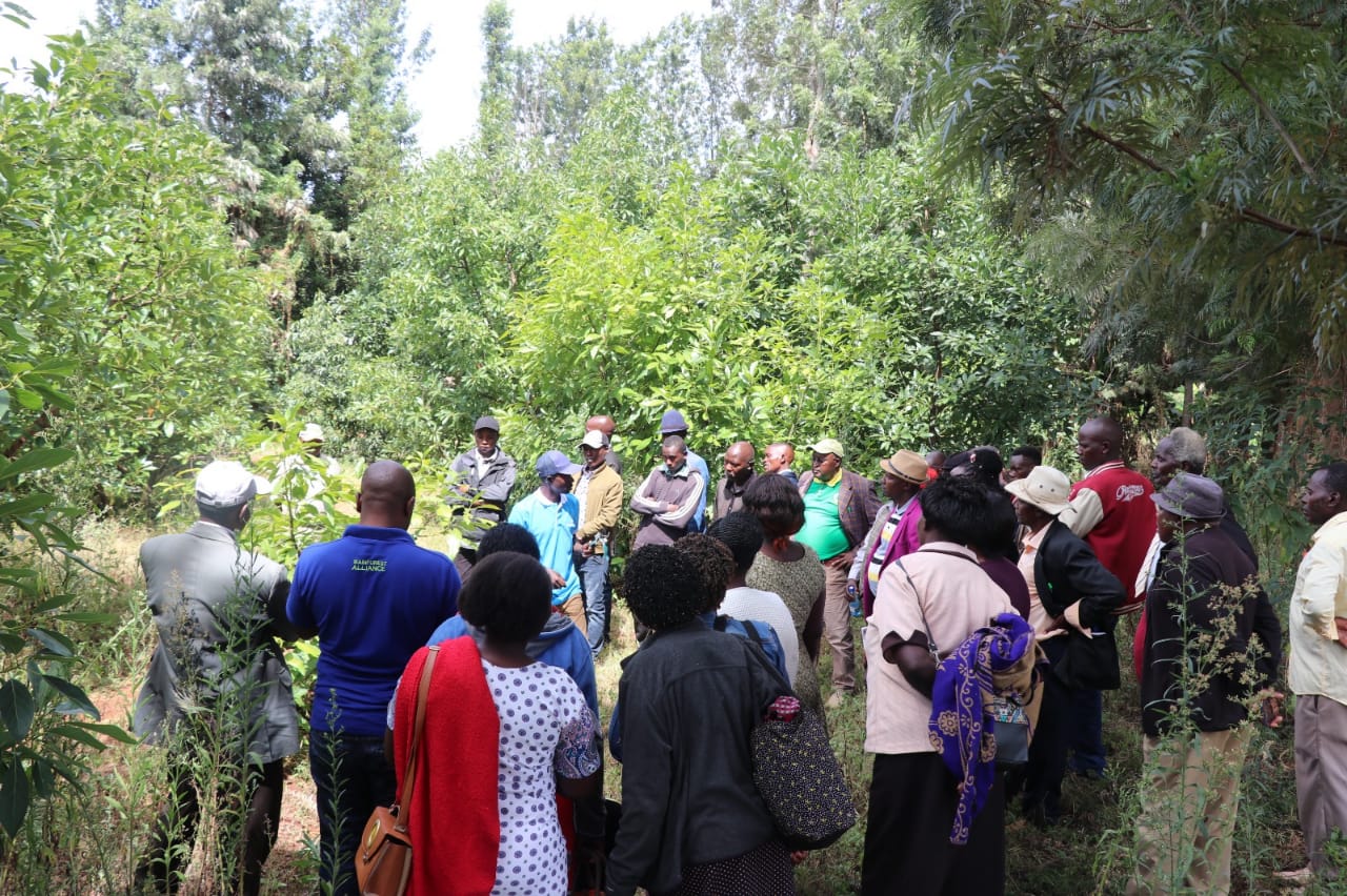 Farmer Trainings