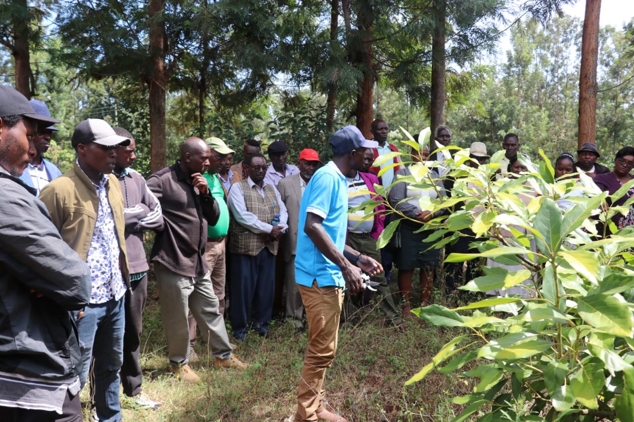 Farmer Trainings