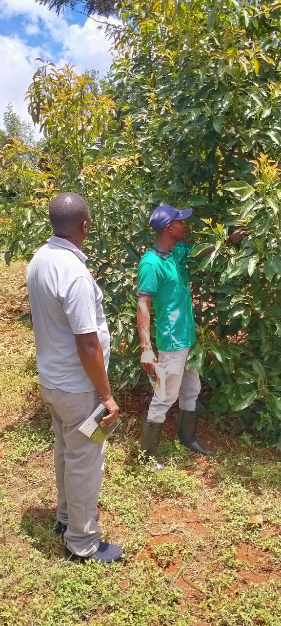 Farmer Trainings