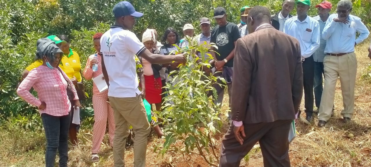 Farmer Trainings