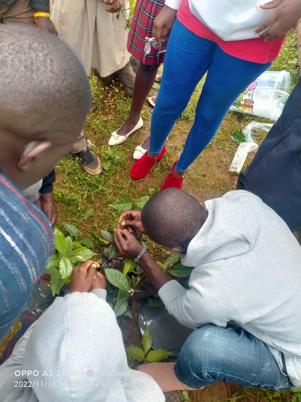 Youth Capacity Building